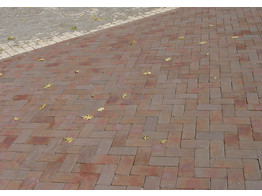 ARTE POURPRE REDUIT - Briques en terre cuite UWF 201x49x61 mm