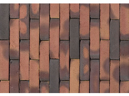 AUTHENTICA CASTELLO - Briques en terre cuite WF 201x50x88mm