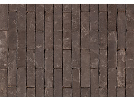 AUTHENTICA RETRO DAKOTA - Briques en terre cuite vieillis WF 201x48x87mm