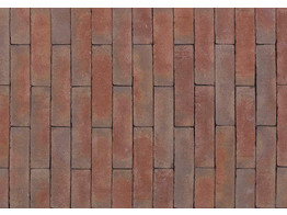 ARTE ROUGE BRUN REDUIT - Briques en terre cuite UWF 202x49x61 mm