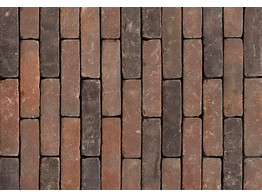 BRIQUE EN TERRE CUITE OUD BREDA - vieillie UWF 201x49x61 mm