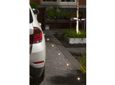 DB-LED  WW 