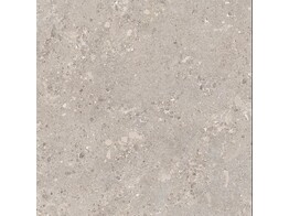 KERAMISCHE TEGEL 120x60x2cm OMNIA DEVIX GREIGE