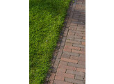 Briques en terre cuite vieillis WF65 Novara Antica ZV/ZA 205x50x60 mm