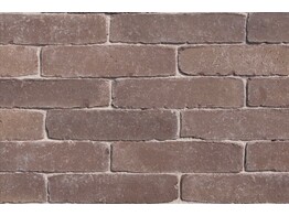 BRIQUE EN TERRE CUITE SEPTIMA CHATAIN 215x52x70 mm