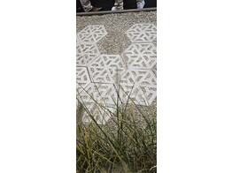 ECO-Schellevis betontegels 37 5x37 5x7 CM CREME