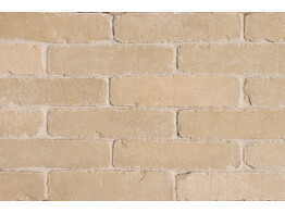 BRIQUE EN TERRE CUITE SEPTIMA SAFRANE 218x52x72 mm