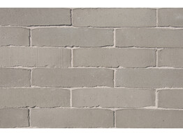 BRIQUE EN TERRE CUITE SEPTIMA SAUGE 218x52x72 mm