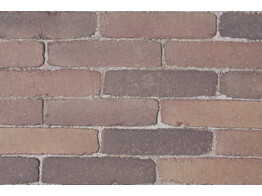 BRIQUE EN TERRE CUITE SEPTIMA TERRESTRE 215x52x70 mm