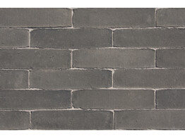 BRIQUE EN TERRE CUITE SEPTIMA TITAN 215x52x70 mm