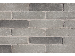 BRIQUE EN TERRE CUITE SEPTIMA GRISAGE 218x52x72 mm
