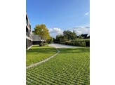 GRASDALLEN BETON 60x40x12 cm met groeven  BENOR 