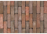 AUTHENTICA RETRO NOVOTON - Briques en terre cuite vieillis UWF 202x49x66mm