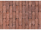 AUTHENTICA RETRO ROUGE - Briques en terre cuite vieillis UWF  201x49x61 mm