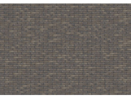 AUTHENTICA RETRO INCANA - Briques en terre cuite vieillis WF 201x48x87mm